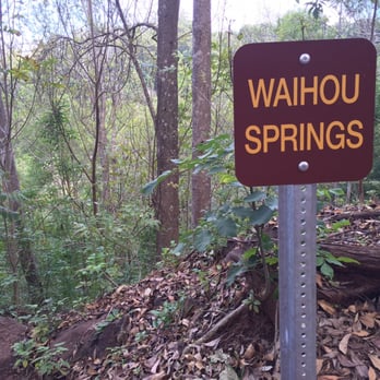 Waihou Spring Trail - Let's do it! - Hiking Near Me - Makawao, Hawaii Waihou Spring Trail - Let's do it! - Hiking Near Me - Makawao, Hawaii