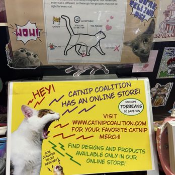 Catnip Coalition Vintage Mall - Where to pet a cat (Jul 2026) - Hats Near Me - Burbank, California