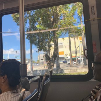 Coconut Grove Metrorail Station - View from a bus leaving the station - Train Stations Near Me - Miami, Florida Coconut Grove Metrorail Station - View from a bus leaving the station - Train Stations Near Me - Miami, Florida