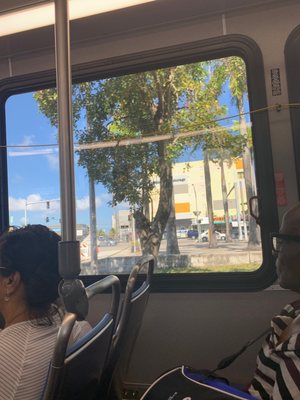 Coconut Grove Metrorail Station by null