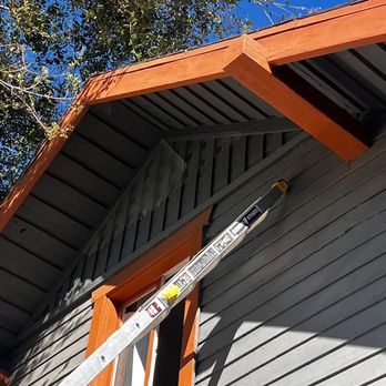 Rodent Control - Pest Control Near Me - Los Angeles, California