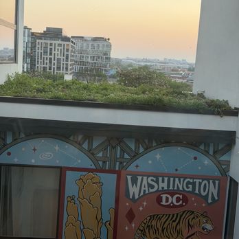 Treehouse Rooftop - Wine Bars Near Me - Washington, DC, District of Columbia