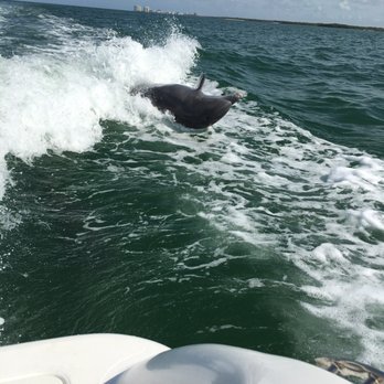 Dreamlander Tours - Fishing Near Me - Goodland, Florida