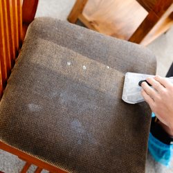 Zerorez Carpet Cleaning