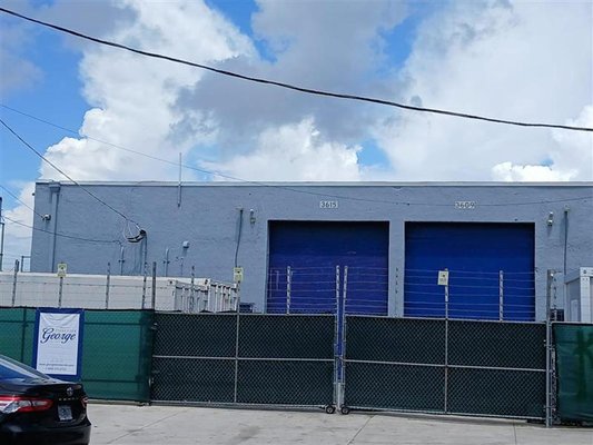 George Stone Crab by null