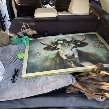 Fredericksburg Trade Days - My wife's loot - Flea Markets Near Me - Fredericksburg, Texas