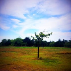 Britton Park