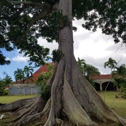 American Airlines - St. Croix Botanical Garden