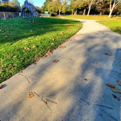 Great Blue Heron Walkway - Great blue heron footprints in walkway