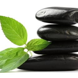 Livonia Yoga Center