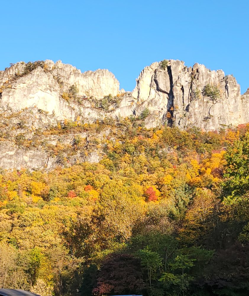 Spruce Knob - Seneca Rocks National Recreation Area Logo