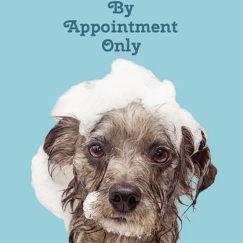 Grooming In The Hood - Pet Groomers Near Me Grooming In The Hood - Pet Groomers Near Me