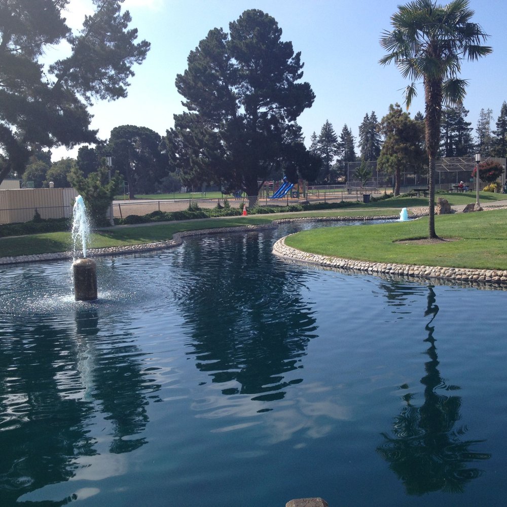 Braly Park - More water and tree reflections - Parks Near Me - Sunnyvale, California