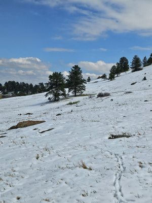 Chautauqua Park by null