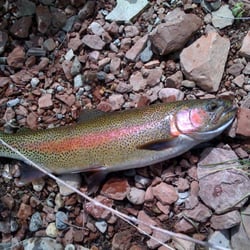 Eagle River Anglers