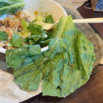 QDOBA Mexican Eats - Uncut lettuce - Fast Food Near Me - Whitewater, Wisconsin QDOBA Mexican Eats - Uncut lettuce - Fast Food Near Me - Whitewater, Wisconsin