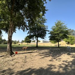 Marco Dog Park - Communicating from a distance