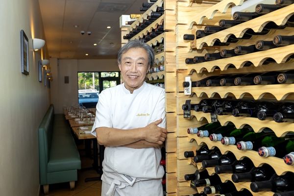 The Wild Artichoke by null