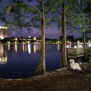Lake Eola Park - Lake Eola. #nofilter - Parks Near Me - Orlando, Florida