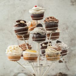 Chocolatier Festive Creations