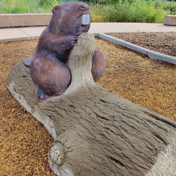Hutchinson Park - Bucky the Beaver - Parks Near Me - Denver, Colorado Hutchinson Park - Bucky the Beaver - Parks Near Me - Denver, Colorado