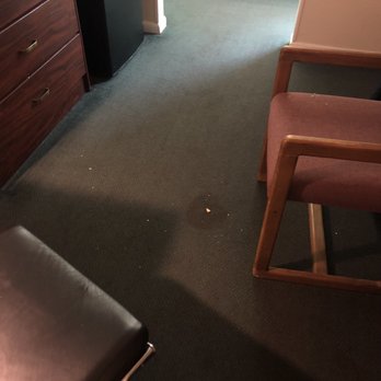 Alamo Inn & Suites - Cracker crumbs left all over the floor and I don't even know what the spill was - Hotels Near Me - Gillette, Wyoming Alamo Inn & Suites - Cracker crumbs left all over the floor and I don't even know what the spill was - Hotels Near Me - Gillette, Wyoming