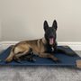 Photo of The Pet Cot Company