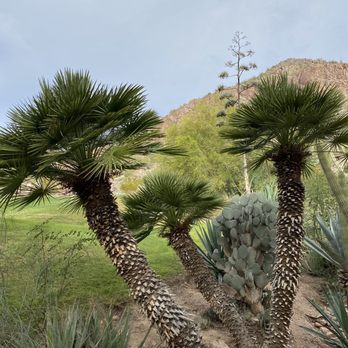 Camelback Mountain - Parks Near Me - Phoenix, Arizona