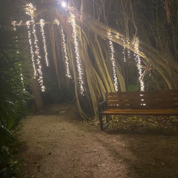 Secrets Akumal Riviera Maya - Seating area in the foliage - Hotels Near Me - Tulum, ROO