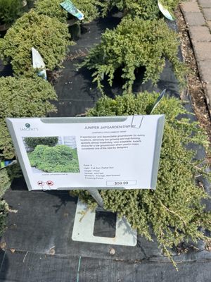 SARGENT’S LANDSCAPE & NURSERY - Updated March 2026 - 66 Photos & 11 ...