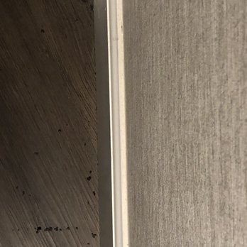 The Dextro - Dead bugs and dirt around the refrigerator and near air conditioner. - Hotels Near Me - San Diego, California The Dextro - Dead bugs and dirt around the refrigerator and near air conditioner. - Hotels Near Me - San Diego, California