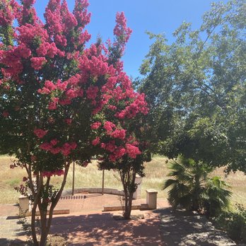 Hanford Ranch Winery - Stairs down to beautiful view and vows location. - Venues & Event Spaces Near Me - Galt, California
