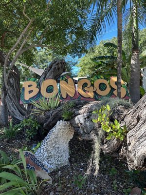Bongo's Botanical Beer Garden and Cafe by null