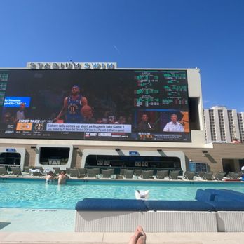 Circa - Stadium pool - Casinos Near Me - Las Vegas, Nevada