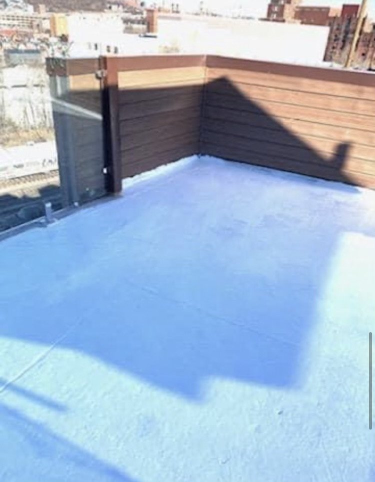 Slide of Sealtech Nation