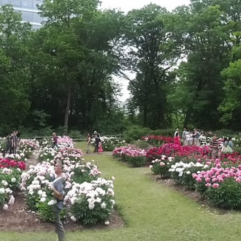 Nichols Arboretum - Peony Garden panorama (June 2013) - Parks Near Me - Ann Arbor, Michigan