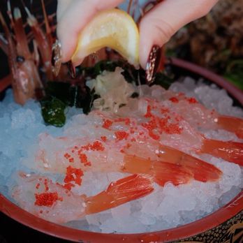 Opus Sushi - Japanese Near Me - Arcadia, California Opus Sushi - Japanese Near Me - Arcadia, California