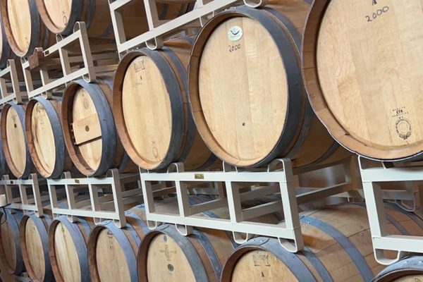 Zin Valle Vineyards by null