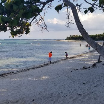 Chamicos - Seafood Near Me - Tulum, ROO