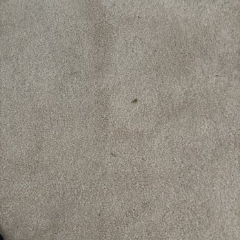 Stanley Steemer - Carpet Cleaning Near Me - Plains, Pennsylvania Stanley Steemer - Carpet Cleaning Near Me - Plains, Pennsylvania