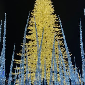 Enchant Christmas - Festivals Near Me - Franklin, Wisconsin Enchant Christmas - Festivals Near Me - Franklin, Wisconsin