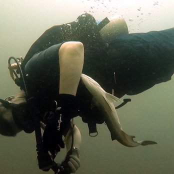 Emerald Coast Scuba - 8/7/21 - Swimming Lessons/Schools Near Me - Destin, Florida