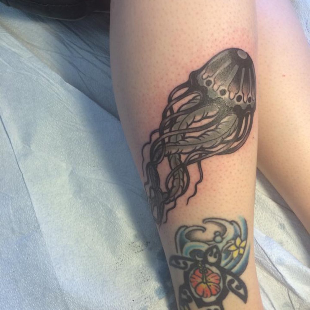 Jellyfish by Mac Jellyfish by Mac