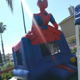 Spderman (standard size)