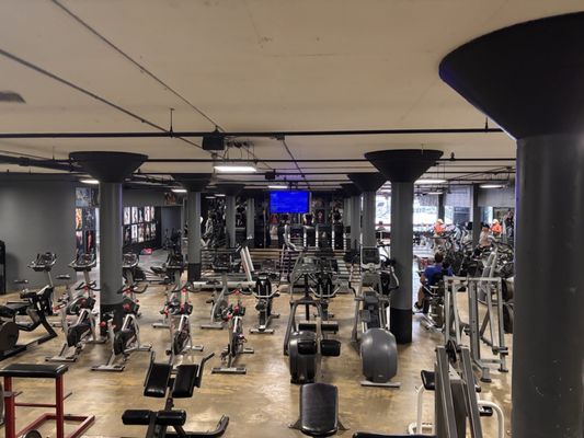 The Gym by null