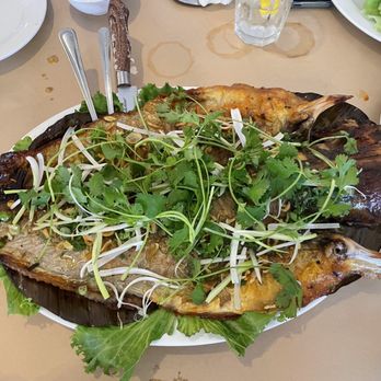 Anh Hong Saigon - Crispy whole catfish medium size ($80) - Vietnamese Near Me - Milpitas, California Anh Hong Saigon - Crispy whole catfish medium size ($80) - Vietnamese Near Me - Milpitas, California
