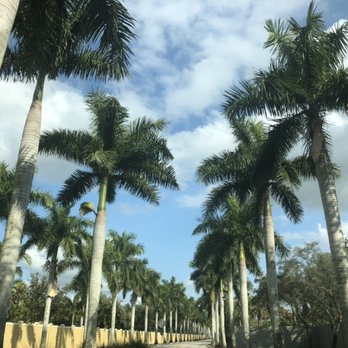 Elina Maranz - Grice Realty - A beautiful road in Lely area of Naples - Real Estate Agents Near Me - Naples, Florida Elina Maranz - Grice Realty - A beautiful road in Lely area of Naples - Real Estate Agents Near Me - Naples, Florida