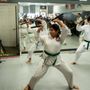 Dragon and Crane Dojo