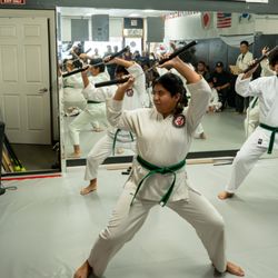Dragon and Crane Dojo - 5 year anniversary open house - chuks