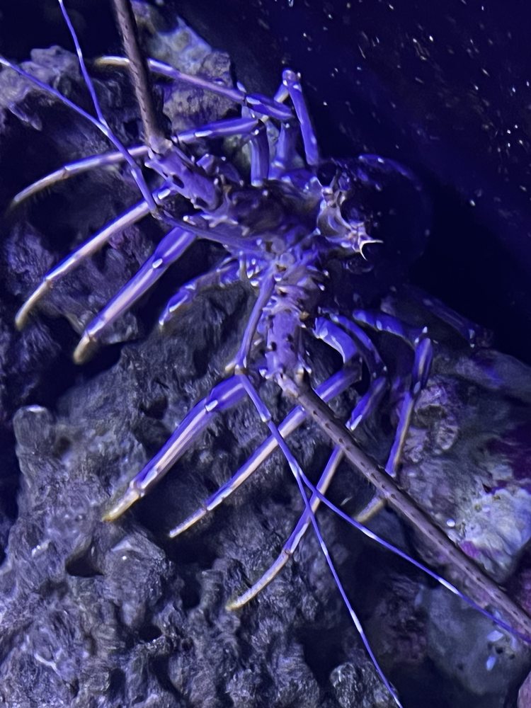 OCEANS AND SEAS 55 Photos & 17 Reviews 26085 Gratiot Ave, Roseville